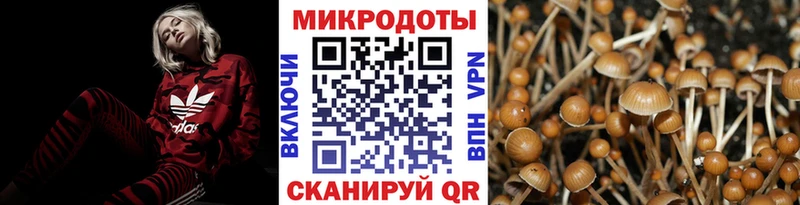 Галлюциногенные грибы Magic Shrooms  Ишим 